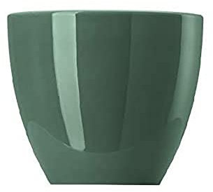 Thomas 10850-408546-15520 Eierbecher, Porzellan