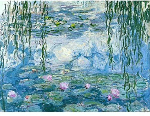 YSCOLOR 5D DIY Diamond Painting Monet Water Lilies Paint by Numbers Kits for Adult Diamond Embroidery Arts Craft Rhinestone 30x40cm/11.8x15.8inch