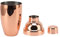 Coctelera De Vino De Acero Inoxidable Para Cóctel Con Colador Y Tapa Superior, Coctelera Pequeña Para Martini Coctelera Pequeña De Acero Inoxidable Para Bebidas, Mini Coctelera Para Martini(oro rosa)