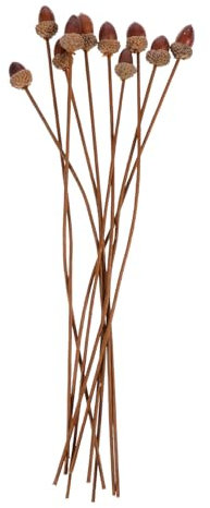 FUNOMOCYA 10 Stück Künstliche Eicheln-sträuße Lebensechte Simulation Von Eichel-Set DIY Dekorative Nusssträuße