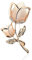 Broche en cristal créé cristal strass Rose fleur broche de mode pour femmes filles cadeau élégant (Or)