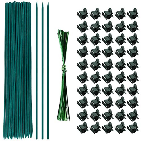 TSKDKIT Pflanzen Stütze und Pflanzenklammern 30cm Pflanzstäbe Bambus Pflanzenstäbe Grüne BlumenstäBchen BambusstäBe für Haus Garten Kletterpflanze Erweiterung der Pflanzenstütze