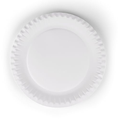 Inoverse 1000 piatti di carta, bianchi, usa e getta, rotondi, 23 cm, ecologici, stoviglie usa e getta, piatti da torta, piatti monouso in cartone, piatti di carta