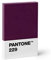 Pantone Design-Kartenetui Kredit- und Visitenkartenhalter, Aubergine 229, bordeaux