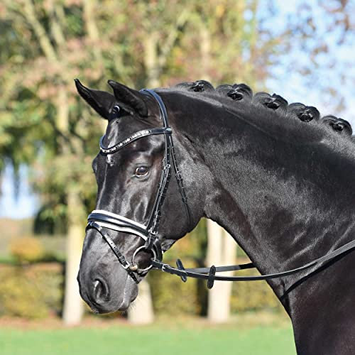Busse