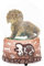 Elanze Designs Triceratops Fossilien Braun Paläontologe Knochen Graben Skelett Wissenschaft STEM Fußabdrücke Museum Tier 100 mm Musical Glitter Dinosaurier Schneekugel spielt Melodie Born Free