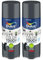 Dulux Valentine Peinture Intérieure et Extérieure Aérosol Color Touch - Brillant Anthracite 400 ml - Lot de 2