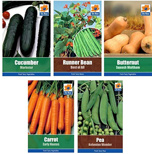 Portal Cool 5 Pakete Samen - Erbse, , , bohne, nut Squash