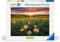 Ravensburger Puzzle - 12000592 Pusteblumen im Sonnenuntergang - Nature Edition 500 Teile