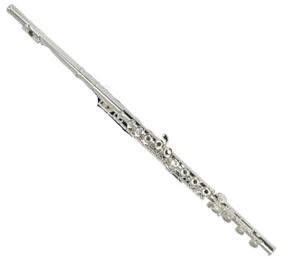 Flöte Für Anfänger Altflöte G Versilberter Bass