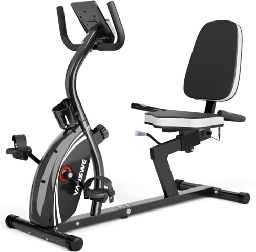 VANSWE Recumbent Exercise Bike for Home Seniors with 380 LB Weight Capacity | Stationary Bike with 16-Level Magnetic Resistance, Bluetooth App Connectivity, Whisper Quiet(<10DB), Back-lit LED Display