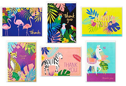Hallmark Dankeskarten-Sortiment, tropische Tiere (24 verschiedene Dankeskarten mit Umschlägen – Geparden, Lamas, Zebras, Flamingos, Vögel)