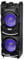 Trevi XFest XF 4500 DJ Altoparlante Amplificato 500W, Cassa Wireless Portatile, Microfono Dinamico per Karaoke, 2 USB/AUX IN, Jack 3.5mm, Funzione TWS, Jack 6.3mm per ingresso Guitar e Microfono