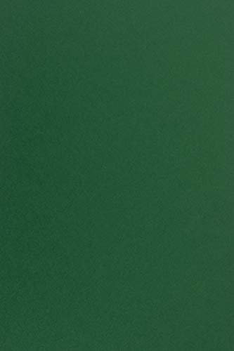 Netuno 20x Tonkarton Dunkelgrün DIN A4 21 x 29,7 cm 170g Sirio Color Foglia Feinkarton farbig Bastelkarton bedruckbar Tonpapier Kreativkarton Schule basteln bedrucken Dekoration Karten Weihnachten