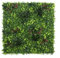 Exelgreen - Mur végétal Artificiel Urban - 1m x 1m