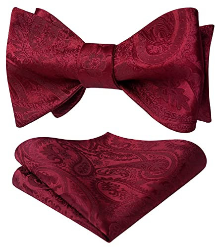 HISDERN Fliege Herren Set Rot Fliegen mit Einstecktuch Formale Klassische Paisley Verstellbar für Bräutigam Hochzeit Party Fasching