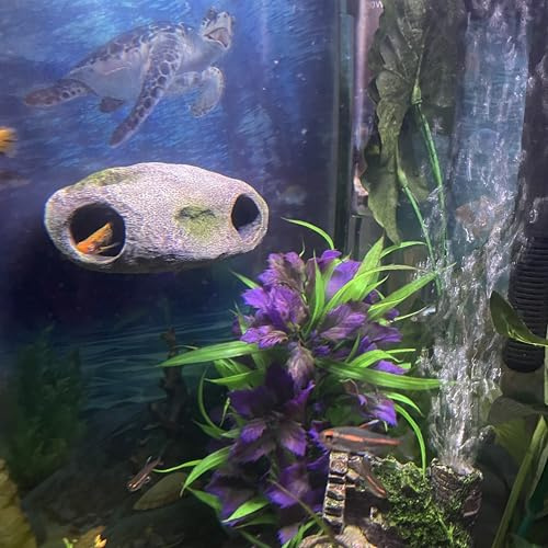OrnaMounts Aquarium Decor Magnetic Rock Cave Ornament – Wall-Mounted Fish Tank Accessory