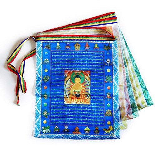 iShyan Tibetan Prayer Flags Outdoor Buddhist Meditation Flag 50pcs Satin Wind Horse Lungta Prayer Flags,11x14 inches