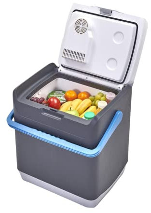 Hi-Gear Thermec 25 Litre Mini Fridge with Integrated Handle, 12V In Car Socket & 240V Mains Socket, Portable, Spacious, 25L Electric Cool Box, Cooler, Camping, Travel, Picnics, Festivals, Grey