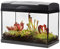 vdvelde.com - Swampworld Terrarium XL - 5 Fleischfressende Pflanzen im Glas Terrarium mit Licht - Inklusive Venusfliegenfalle, Sonnetau, Schlaufpflanzen und Buch - 39x21x31cm