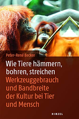 Wie Tiere hämmern, bohren, streichen: Werkzeuggebrauch und Bandbreite der Kultur bei Tier und Mensch