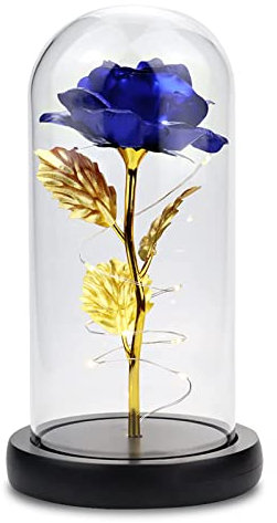 AnnSpa Ewige Rose im Glas, Die Schöne und das Biest Rose, Konservierte Blumen, Kunstblumen, LED-Licht, LED Flaschenlicht Lampe der Rose für Frauen Muttertag WeihnachtenValentinstag (Blau)