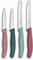 Victorinox Swiss Classic Set di Coltelli per Frutta e Verdura, 4 pezzi, Lama Affilata, Dritta e Seghettata, Fabbricato in Svizzera, Sfumature di verde, rosa