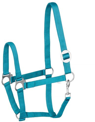 Start Economic Halfter für Pferde – Verstellbares Nylon-Stallhalfter mit Karabiner – Robust & Komfortabel – Weiches, schmutzabweisendes Material (Türkis, Cob (Vollblut))