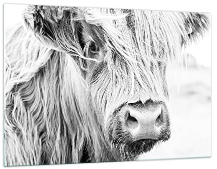 Wandbilder Dekoration Wohnzimmer Kuh Scotch Tier Bilder auf Glas 120x80cm Glasbild Schlafzimmer Küche Deko Wand Kunstdruck Art Groß XXL Wanddeko Bild im Glas Modern Wall Decor Glasdruck GAA120x80-5129