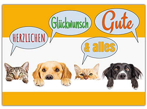 A4 XXL Glückwunschkarte HUNDE & KATZEN mit Umschlag - edle Klappkarte geeignet für alle Anlässe wie Geburtstag Hochzeit Jubiläum Karte von BREITENWERK