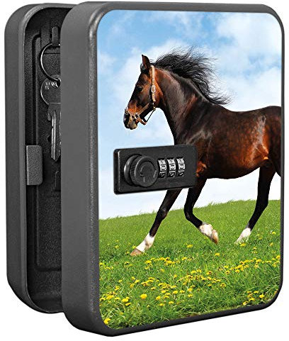 banjado Burg-Wächter abschließbarer Schlüsselkasten für 20 Schlüssel/Schlüsselkasten mit Zahlenschloss 16x20x8cm groß/Schlüsselschrank aus Stahlblech schwarz/Motiv Pferd