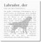 Interluxe Metallschild Schild 20x20cm -Definition Labrador, der - witziges Dekoschild für Frauchen Herrchen Hund dog Hundeschild Spruch