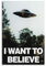 Anime-Poster, Reiseposter I Want To Believe, Retro-Poster, Wandkunst, Wanddekoration, Öl auf Leinwand, dekoratives Gemälde, 50 x 75 cm, ungerahmter Stil, 5