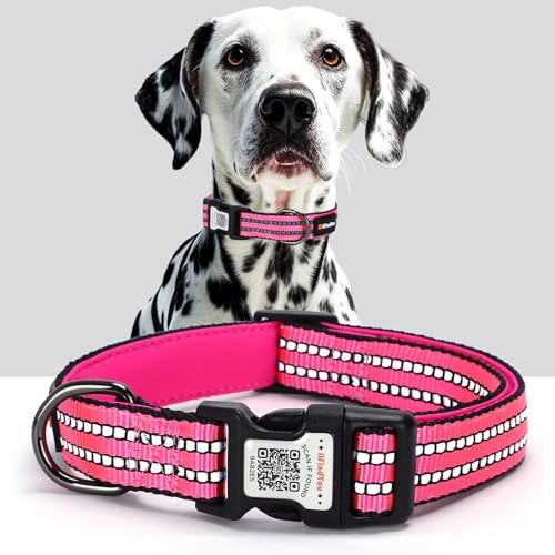 ilFindYou Reflektierendes Hundehalsband mit QR-Code-Tag, personalisiertes Hundehalsband, Sicherheit bei Nacht, Anti-Verlust-Funktion (Rosarot, Größe L)