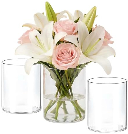 Glasvase Set, 3 Zylindrische Transparente Vasen für Hochzeit, Tischdekoration, Kerzenhalter, Blumenarrangements (10 cm, 3 PCS)