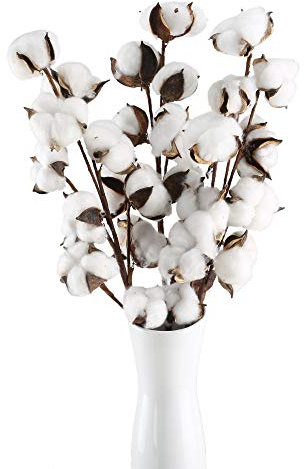 HUAESIN 3pcs Baumwolle Zweig 10 Köpfe Natürlich Getrocknete Blumen Künstliche Dekoblumen Weiss Kunstblumen Gefälschte Unechte Blumen für Vase Hochzeit Zimmer Cafe Dekoration