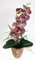 Seidenblumen Roß Orchidee 60cm im Terracottatopf GA künstliche Phalaenopsis Blumen Kunstblumen (Lila-Grün)