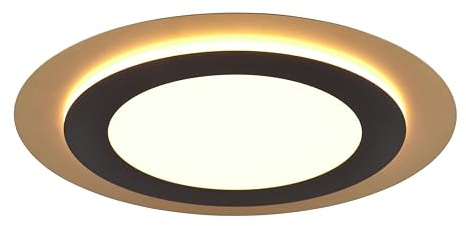 Trio Leuchten LED Deckenleuchte Morgan 641519280, Metall Schwarz matt/Goldfarbig, Acryl, inkl. 46 Watt LED, Fernbedienung