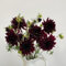 6 pcs Dahlien Knollen Winterhart Mehrjährig, Balkonpflanzen Winterhart Urban Gardening Dahlia pinnata Gartenblumen Bonsai Blumen Pflanztöpfe Indoor Plants Urban Gardening Bloom Garden