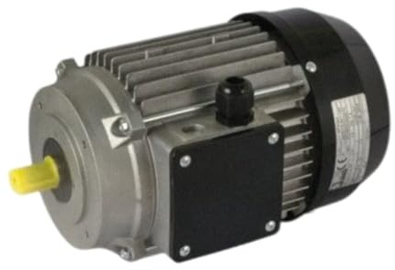 Motore elettrico 220 volt originale imer per Betoniera a bicchiere Syntesi 190-250