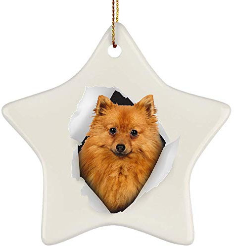 Christbaumschmuck Mit Hanfseil Weihnachtsbaum Deko Keramik Weihnachten Deko Lustiger Deutscher Spitz Golden, Der Aus Einer Rissigen Wand Kommt