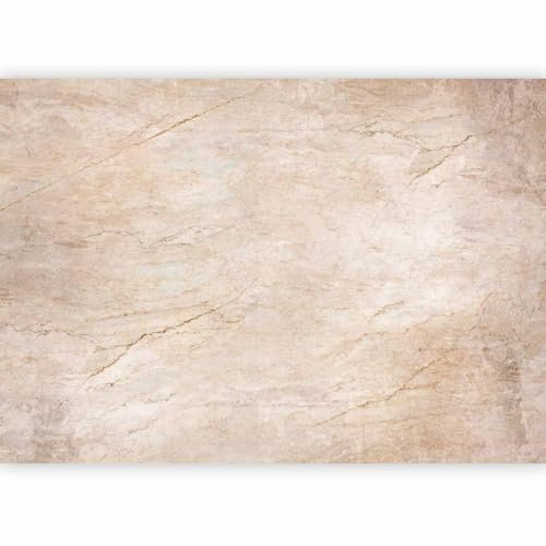 murando - Papier peint panoramique artistique 350x256 cm - Revêtement mural décoration pour chambre salon cuisine - Design unique et moderne - Marron beige gris - f-A-10042-a-a