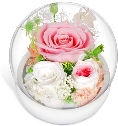 zoeyzoey Ewige Rose Geschenke für Mama,Muttertagsgeschenk Geschenke für Mama,Infinity Rosen Glas mit Echte Rosen,Muttertag Blumen,Geburtstagsgeschenk für Frauen,Geschenk Oma,Jahrestag