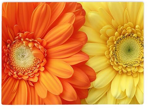 Shopagift Orange Yellow Flower Petals Glass Chopping Board Large Kitchen Worktop Saver 39cm x 28cm