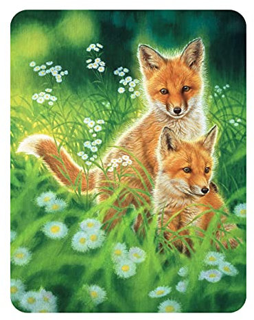 3D LiveLife Magnet - Frühlingsfüchse von Deluxebase. Linsenförmige 3D Fuchs Kühlschrankmagnet. Dekoration für Kinder und Erwachsene mit Kunstwerk lizenziert von bekannt Künstler, Joh Naito