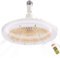 XINXI Ventilateur Plafond Led,Ventilateur Plafond Lumiere,Ventilateur De Plafond Telecommande,Ampoule Ventilateur Plafond,Ventilateur Chambre À Coucher,Lumière De Ventilateur De Plafond