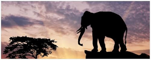Wallario Memoboard aus Glas mit Motiv, Magnet-Tafel in 32 x 80 cm in Premium Qualität Elefant vor Abendhimmel