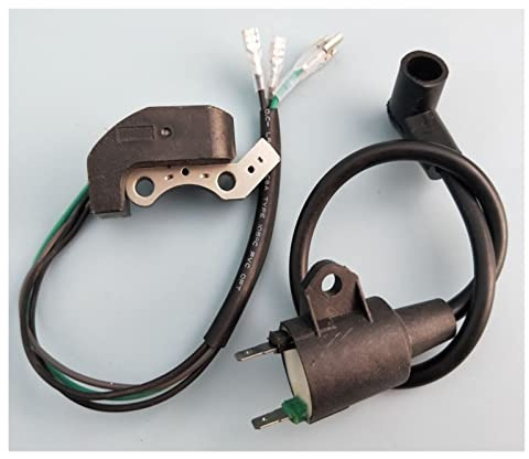 Bobina Estator 2 Unids/Set con Encendedor De Bobina De Encendido Magneto para Generador Tiger 450W 650W 800W 950W 1000W 2 Tiempos ET950 ET650 IE45F TG950 Motocicleta Generador Bobina