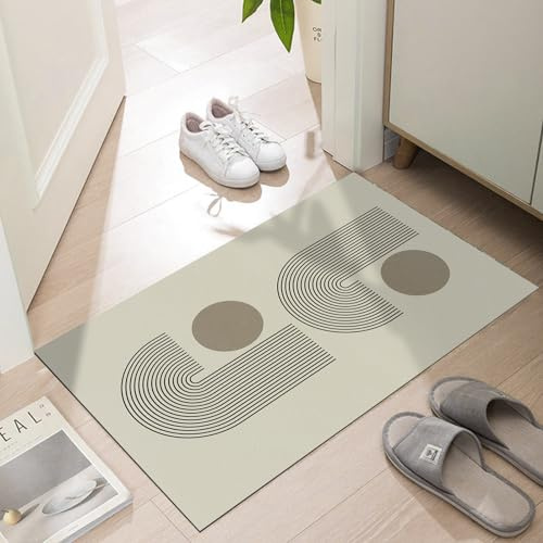 LYGLIGH Thin Door Mats for Inside Entry, Ultra Thin Indoor Entrance, Non-Slip Rubber Backed Entryway Rug, Absorbent Washable Floor Mats, 30'' x 17'', Streamline