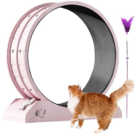 Opdestn Katzenlaufrad - Fitnessgerät Für Kleine Kitten,Sicheres Indoor Laufrad Für Hauskatzen